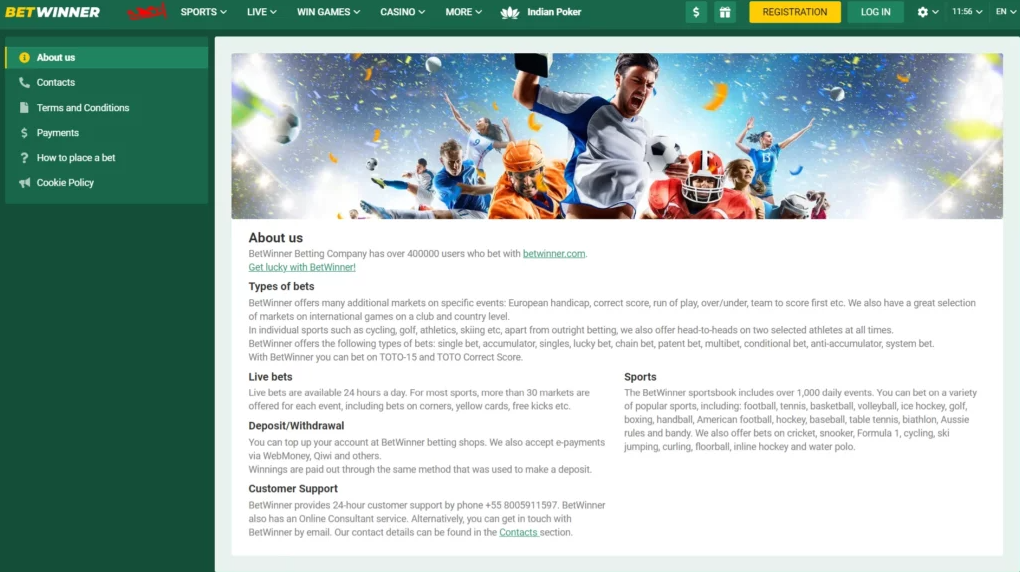 Understanding the Bonuses Betwinner