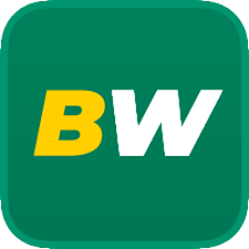 Discover the World of Betwinner Online Bet
